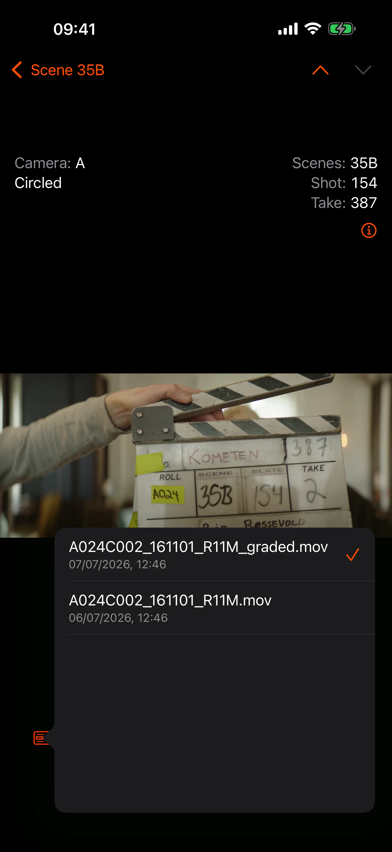 The list of files for one row, opened in the file view
